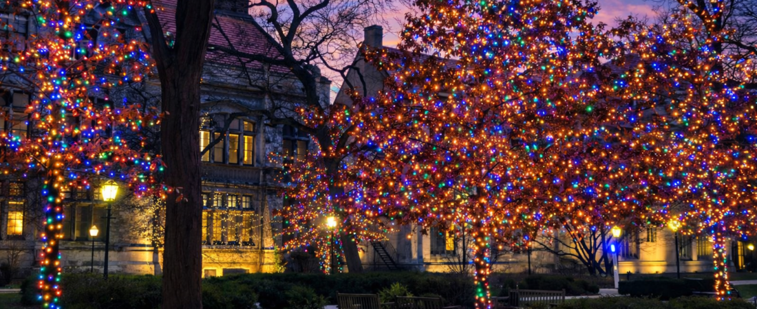 The Top Christmas Light Installers in River Oaks