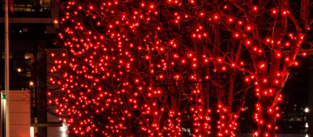 Commercial Christmas Light Installers