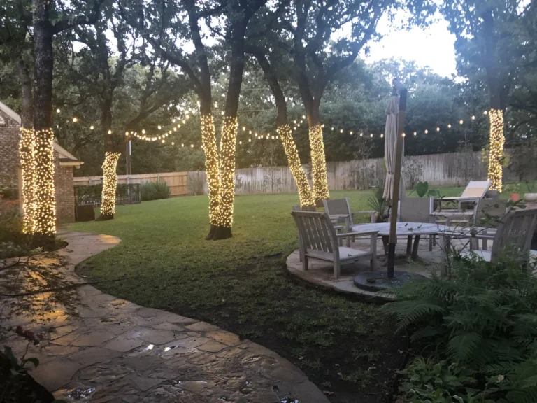 Backyard trees wrapped in warm white Christmas lights Backyard trees wrapped in warm white Christmas lights