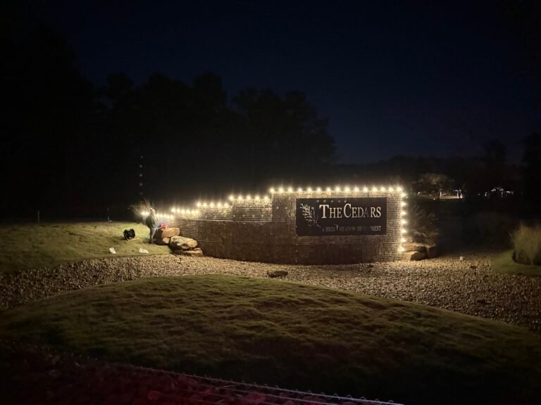 Lone Star Christmas Lighting commercial Christmas light displays in Spring, TX (photo 3)