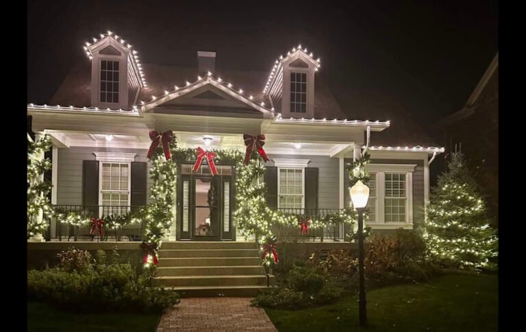 Belight World Christmas light installation in Bargersville, Indiana (photo 6)