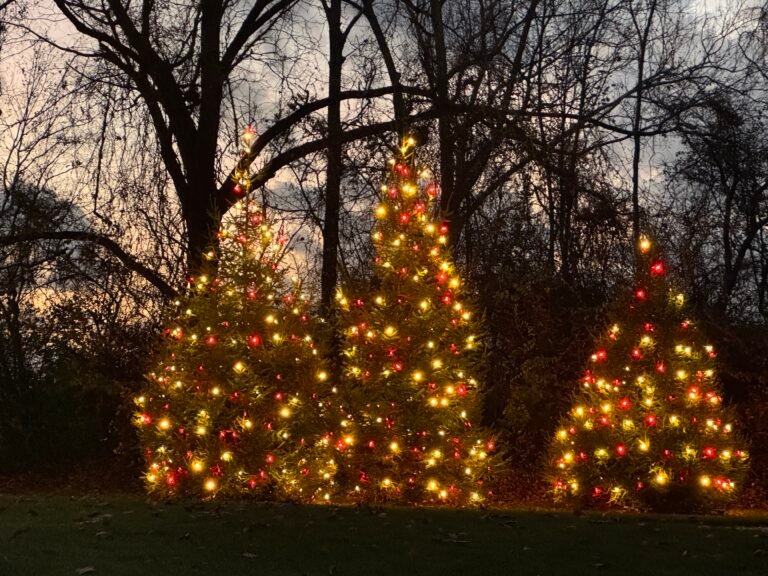 Belight World Christmas light installation in Bargersville, Indiana (photo 5)