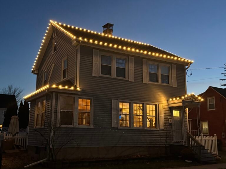 Belight World Christmas light installation in Bargersville, Indiana (photo 4)