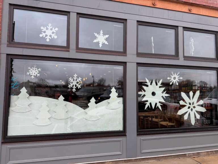 Belight World Christmas light installation in Bargersville, Indiana (photo 3)