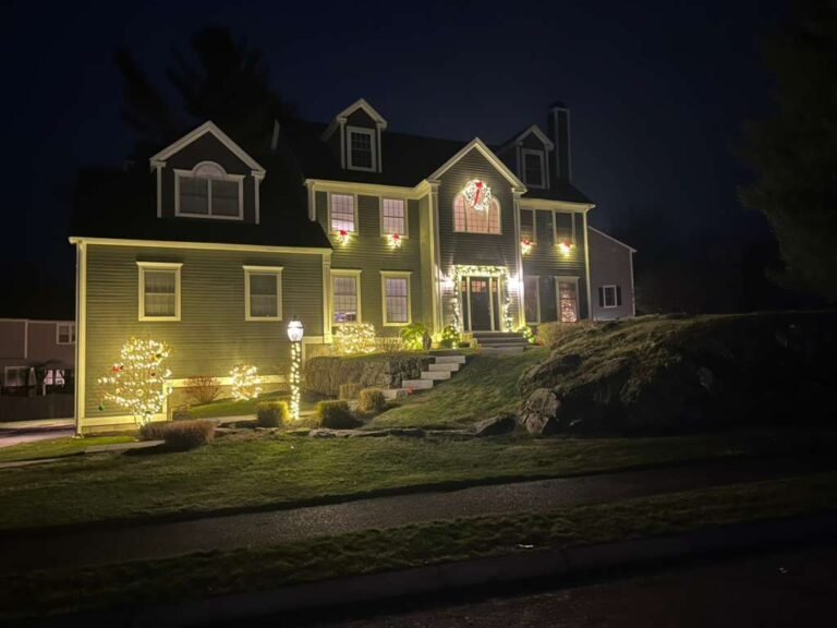 Workspro US Remodeling Corp Christmas light installation in Bradenton, Florida (photo 2)