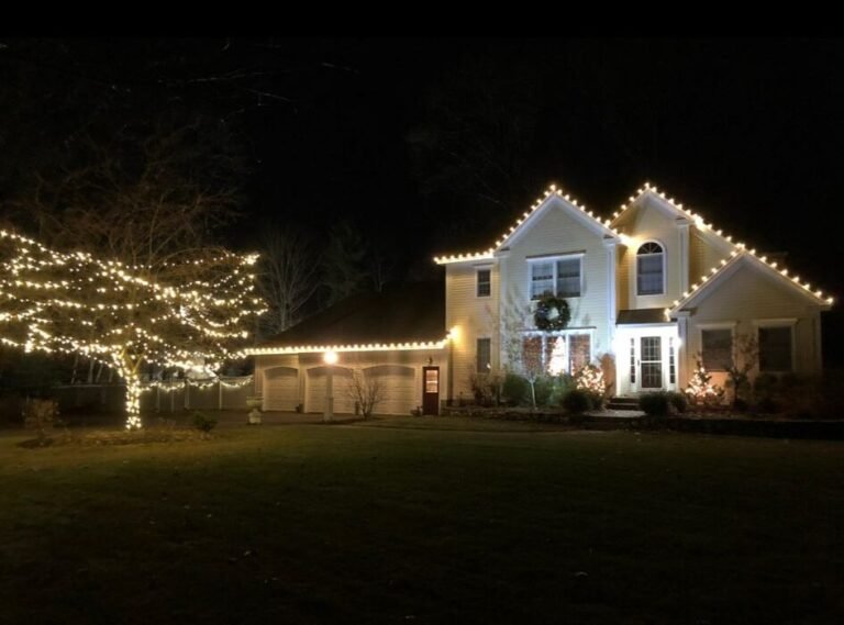 Workspro US Remodeling Corp tree wrapping Christmas lights in Bradenton, FL (photo 2)