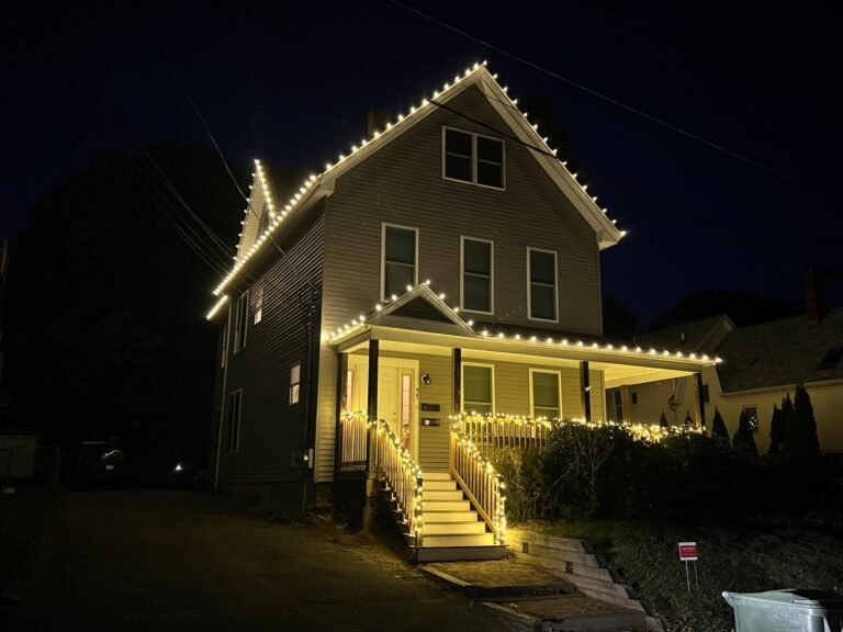 Workspro US Remodeling Corp Christmas light installation in Bradenton, Florida (photo 17)