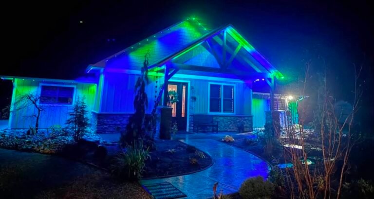 Carlos outdoor build and repair Christmas light installation in Monroe, Washington (photo 6)