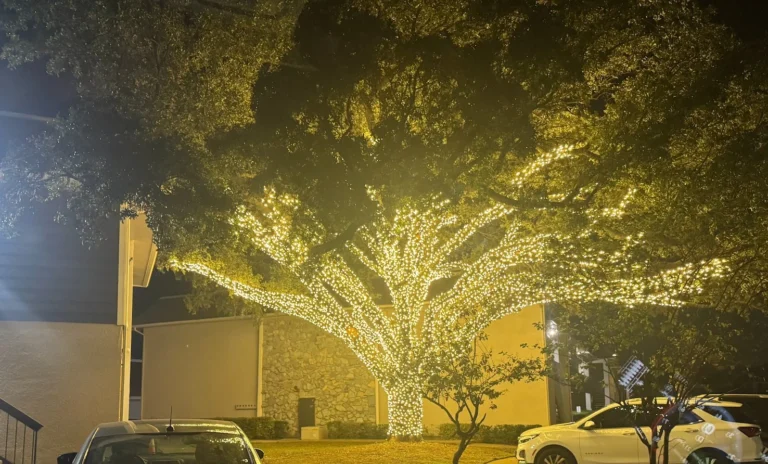 Grants Outdoor Christmas lights near Colleyville, TX
