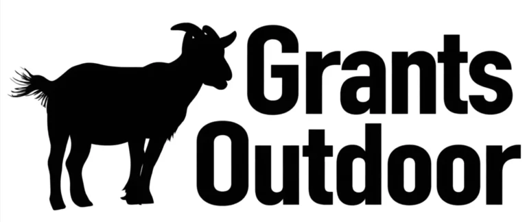 Grants Outdoor Christmas lights near Colleyville, TX