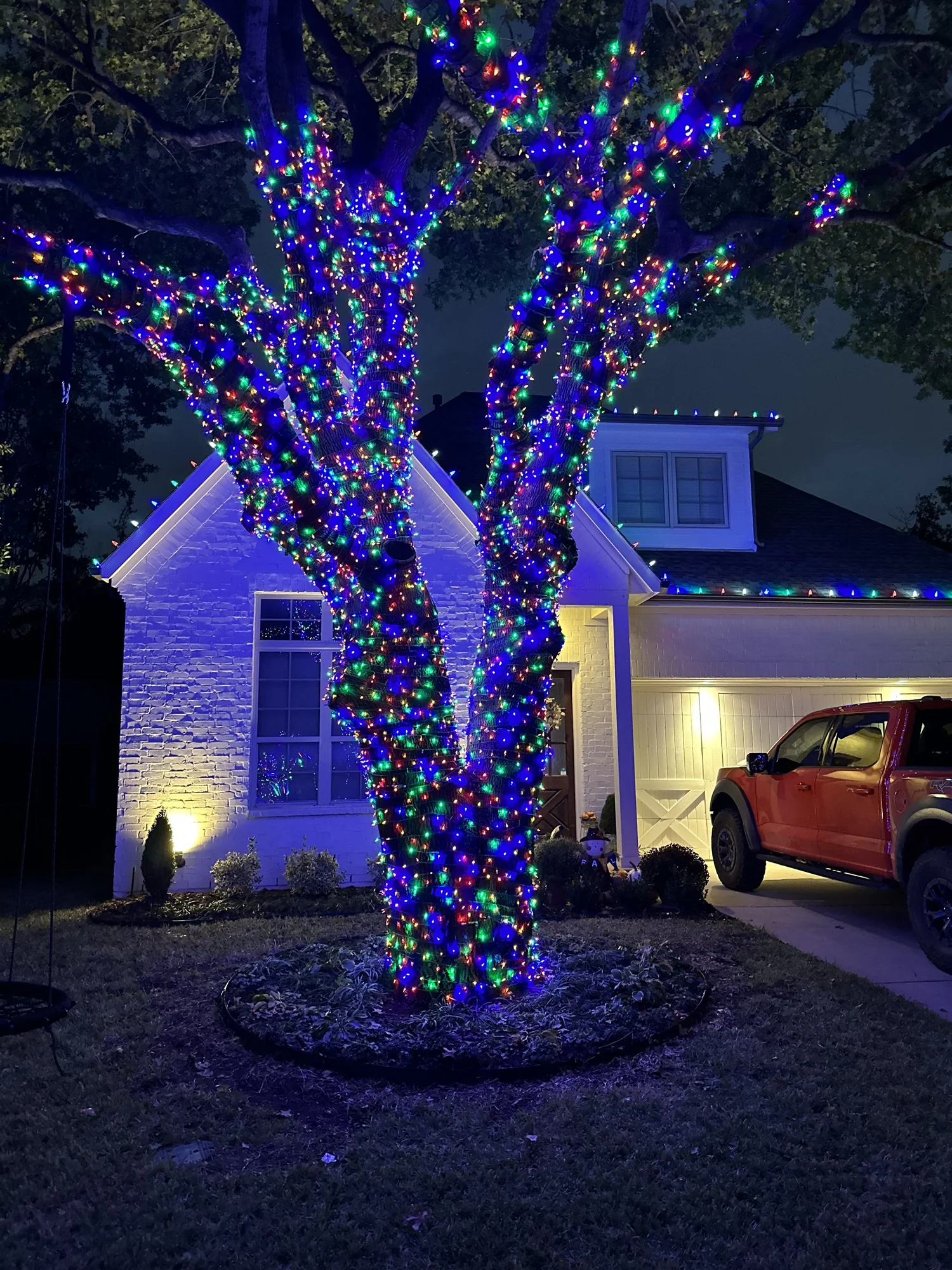 Tree trunk wrapped in multicolor Christmas lights