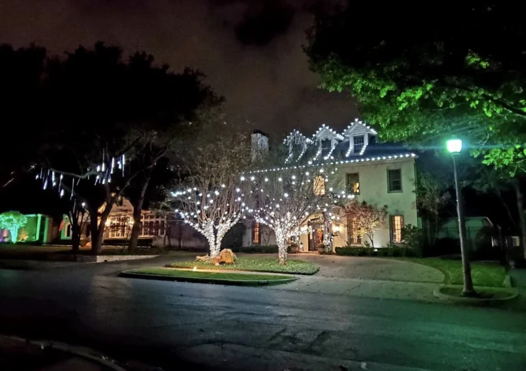 Trees wrapped in white Christmas lights at night